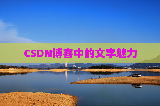 CSDN博客中的文字魅力